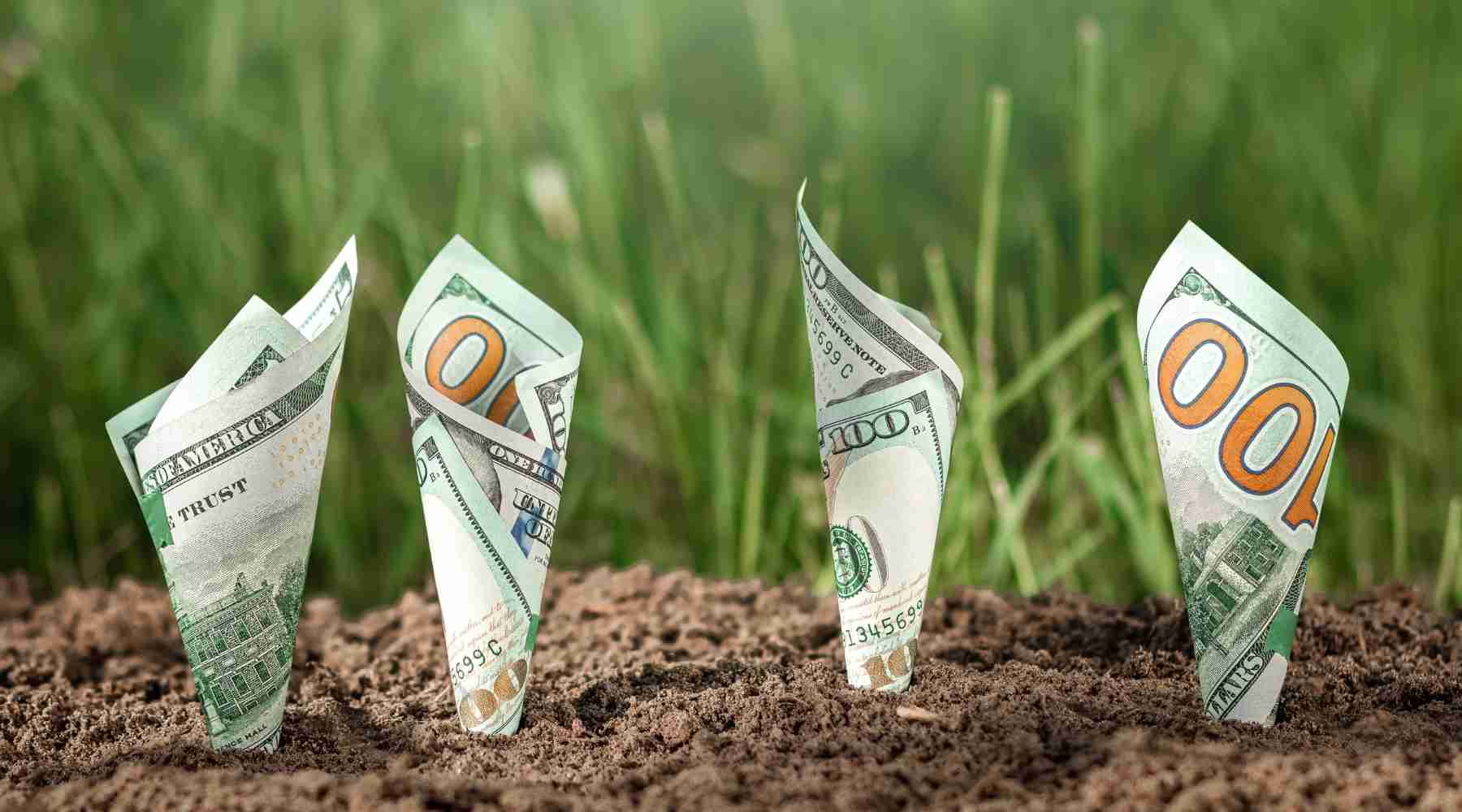 Growing Hundred Dollar Bills